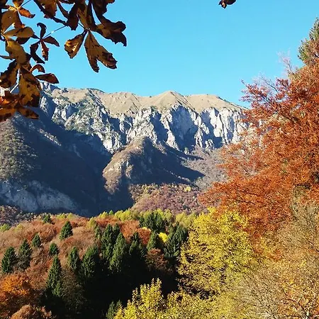 Apartment Paradiso Parolari